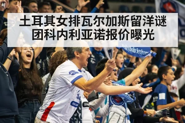 volleyball stadium crowd
